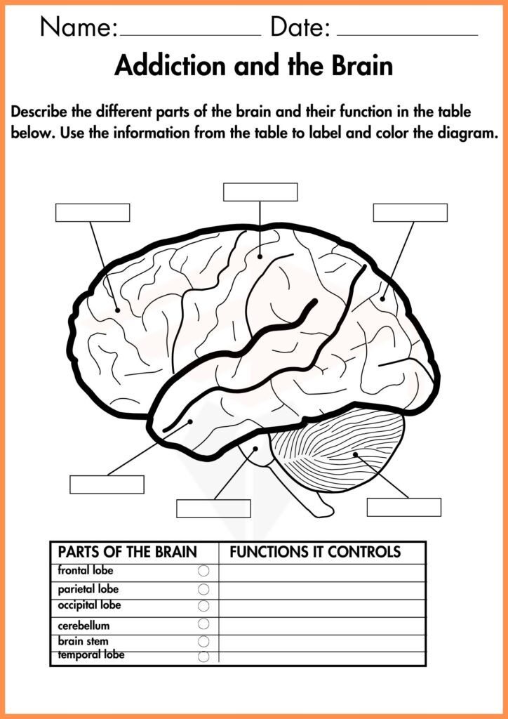 image showing
complete the table below addiction and the brain worksheet  1
