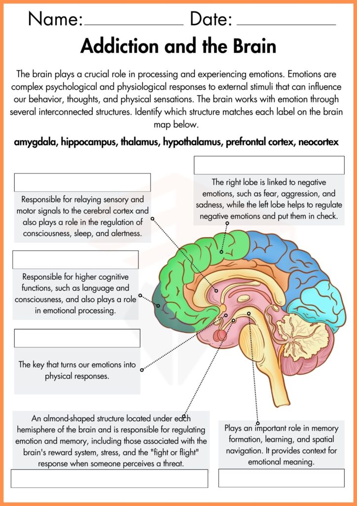 image showing
fill the boxes addiction and the brain worksheet  2