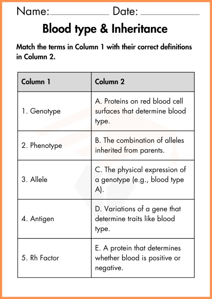 image showing matching table  blood type & inheritance worksheet 1