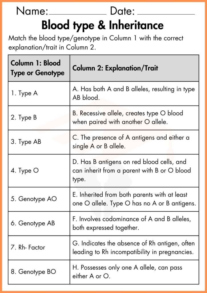 image showing matching table  blood type & inheritance worksheet 3