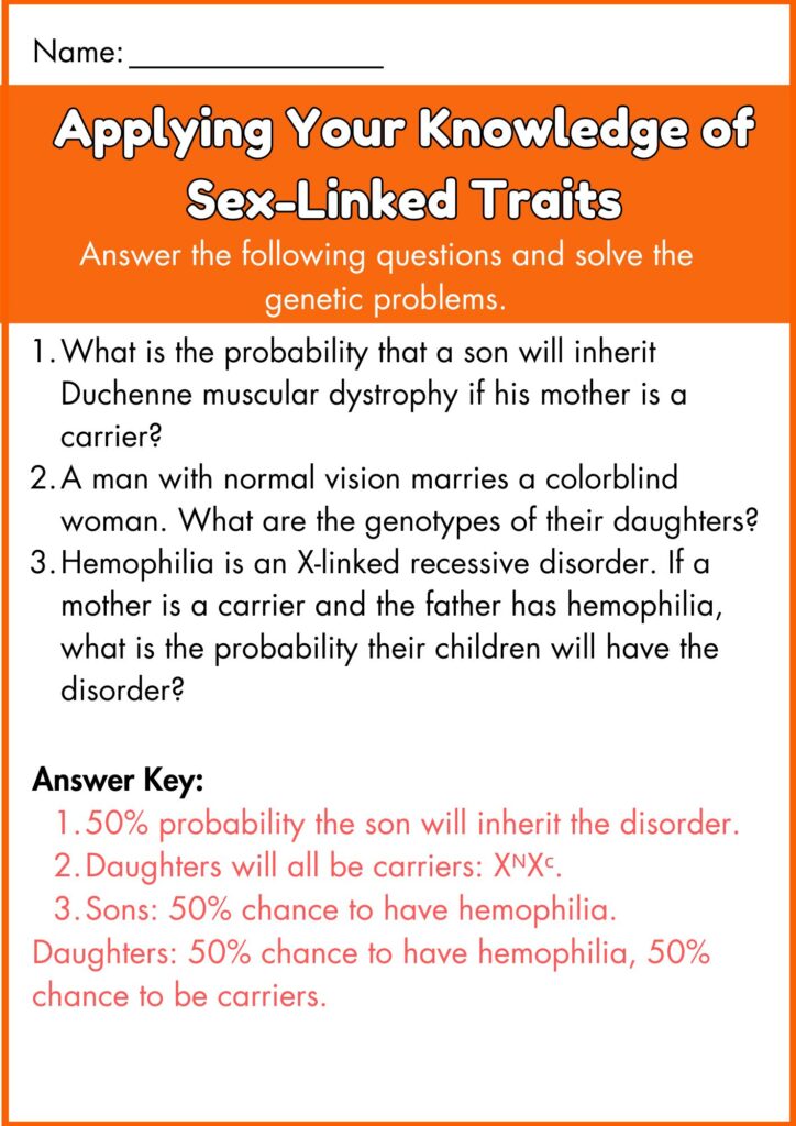 Image showing Sex Linked traits worksheet With Answer key