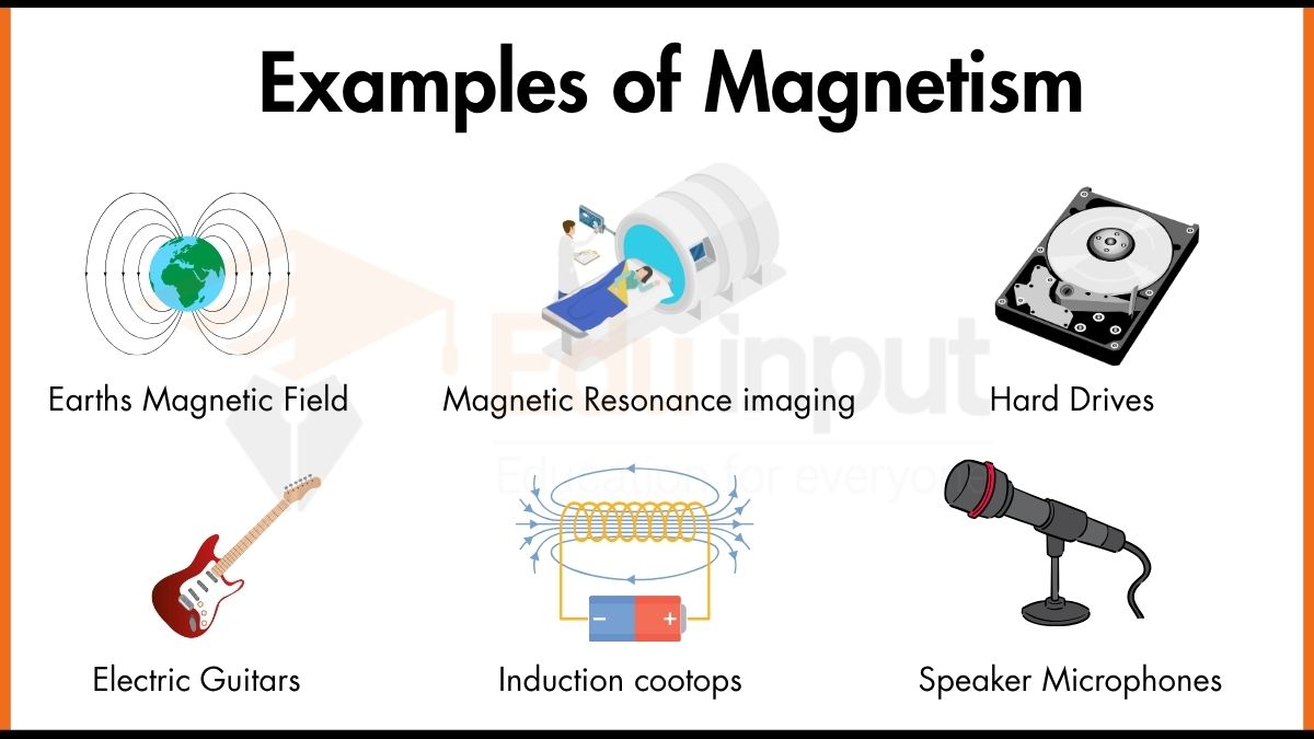 Real-World Examples of Magnetism
