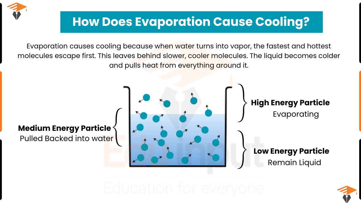 How Does Evaporation Cause Cooling?
