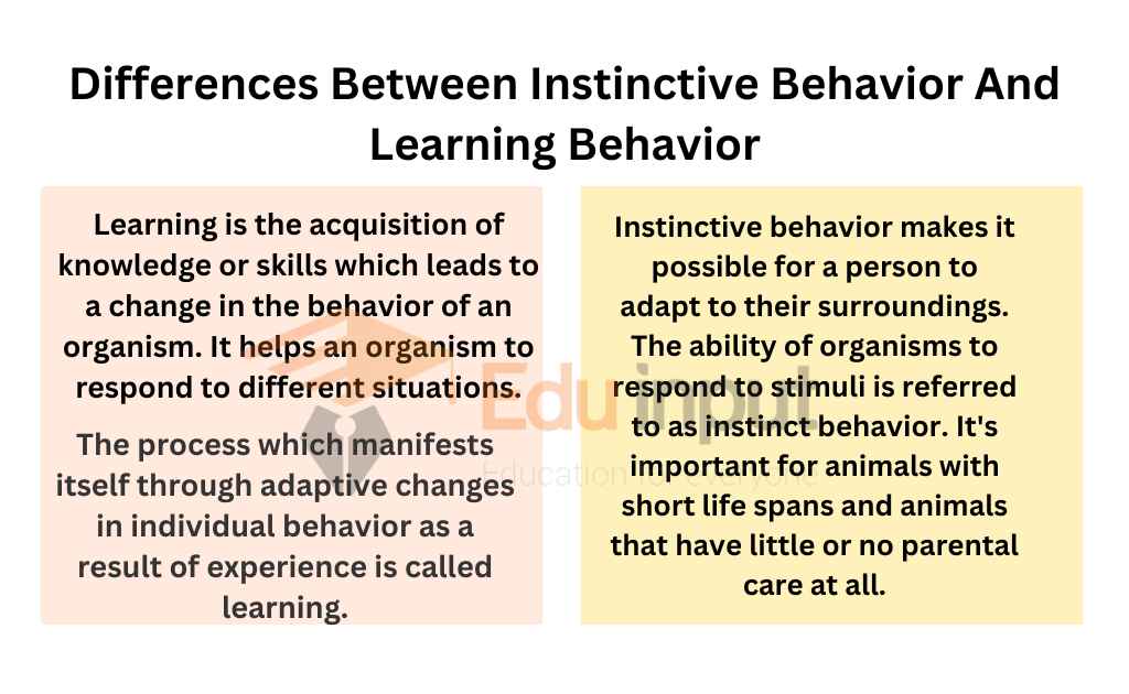 Image showing Differences Between Instinctive Behavior And Learning Behavior