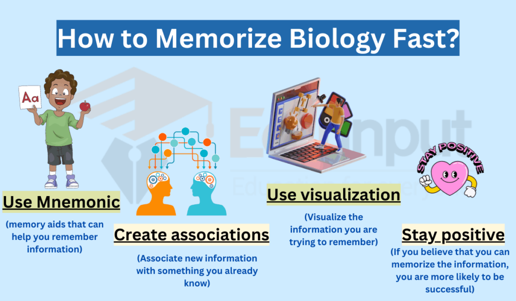 image showing How to Memorize Biology Fast?