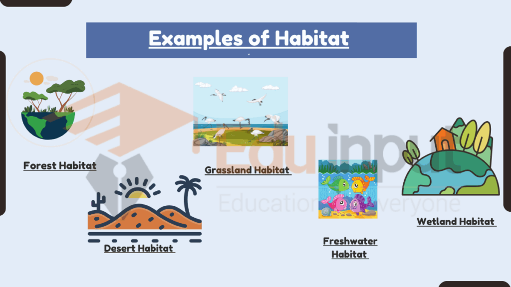 10-examples-of-habitat