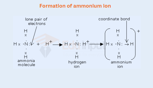 image showing Formation of ammonium ion