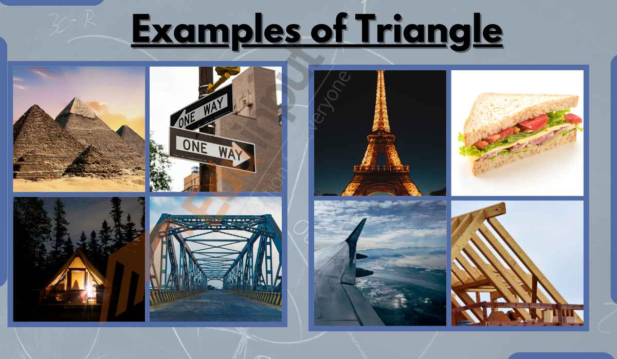 Image Of Examples Of Triangle  &nocache=1