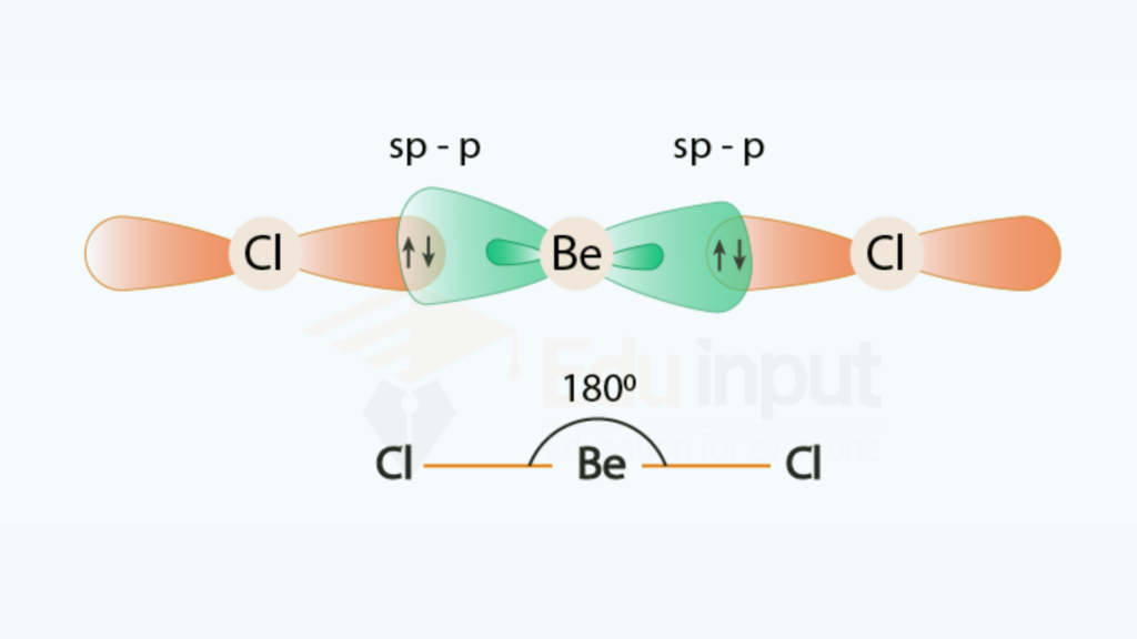 sp hybridization of BeCl2