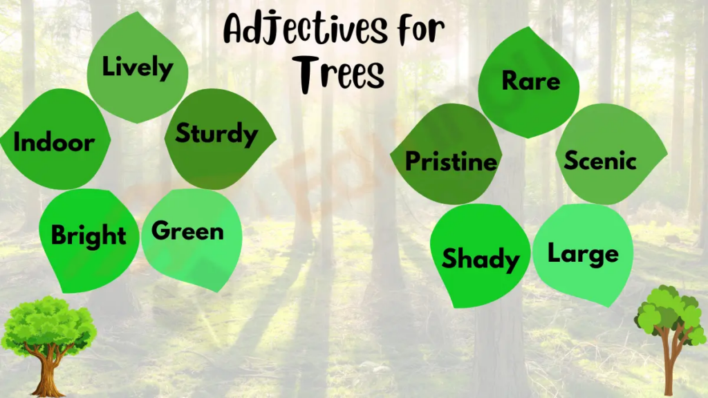Image showing List of Adjectives for Trees
