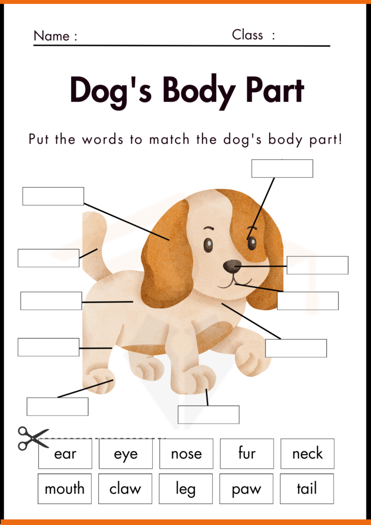 Dogs Body Part Labelling Worksheet for kindergarten