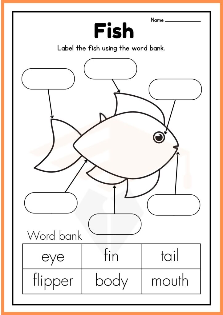 Fish Labelling Worksheet of kindergarten