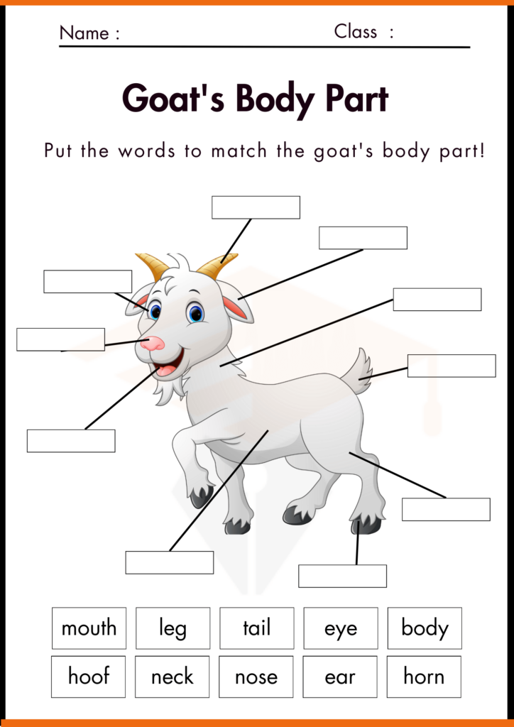 Goats Body Part Labelling Worksheet for kindergarten