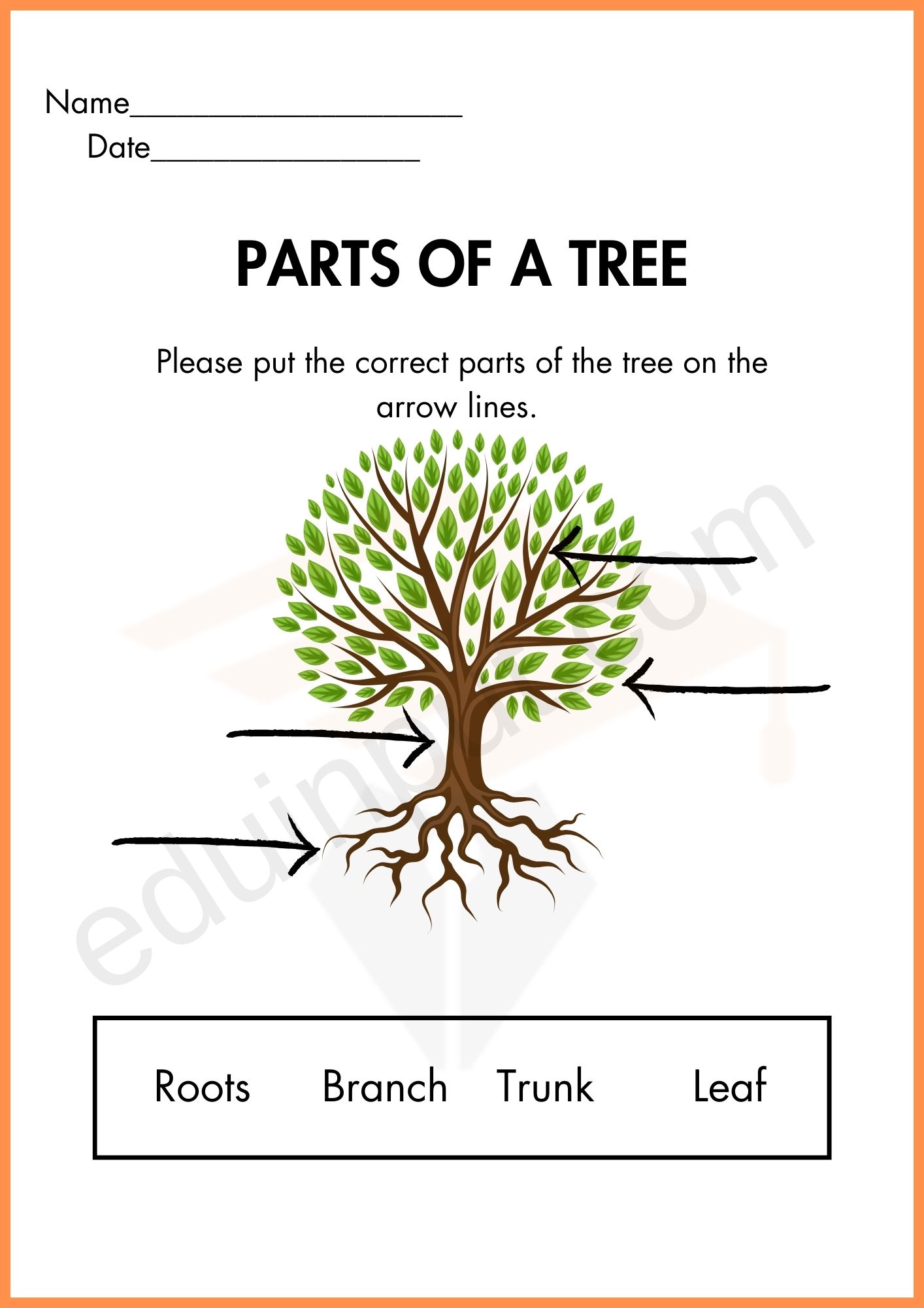 Parts of Tree Worksheets for Kindergarten
