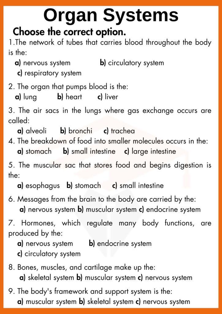 Multiple choice Questions Worksheets of Organ systems