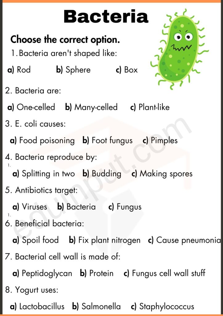 Multiple choice question worksheet of bacteria