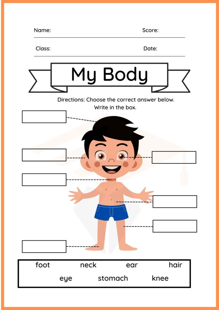 My Body Labelling Worksheet of kindergarten