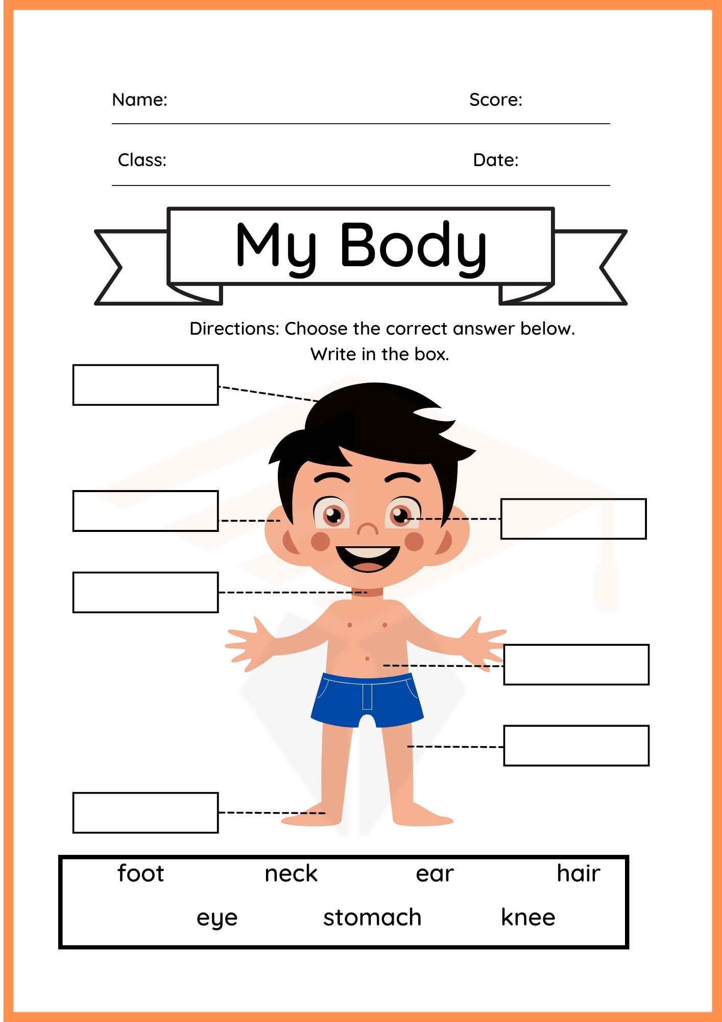 Labelling Worksheets for Kindergartens