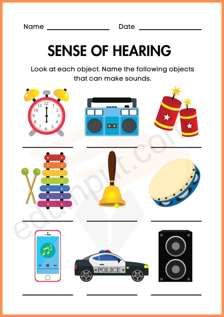SENSE OF HEARING worksheet 1 for kindergarten