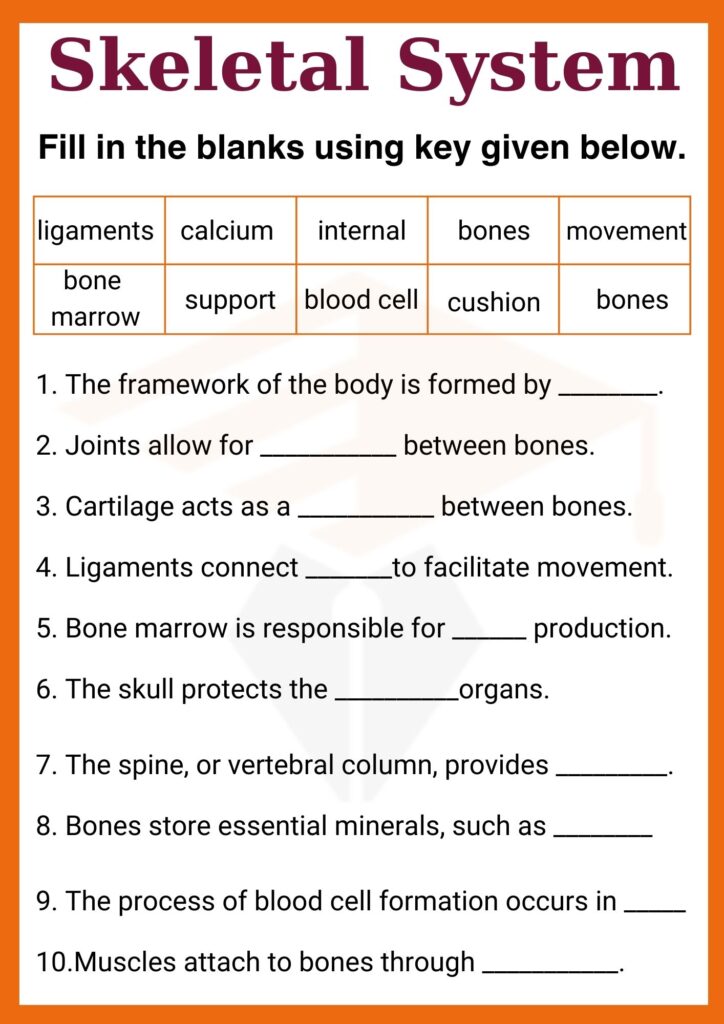 Skeletal System worksheet for grade 7