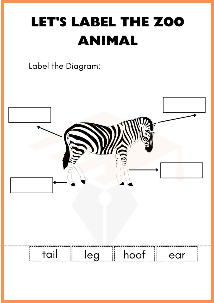 Zoo Animal Labelling Worksheet 1 of kindergarten