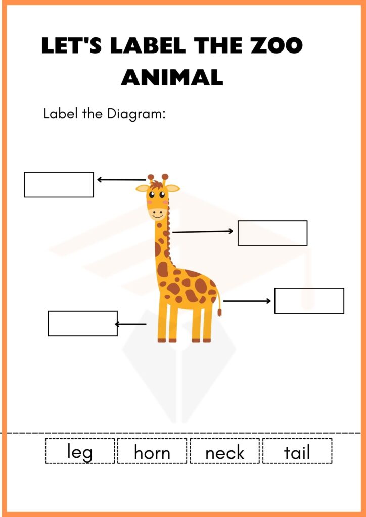 Zoo Animal Labelling Worksheet 2 of kindergarten