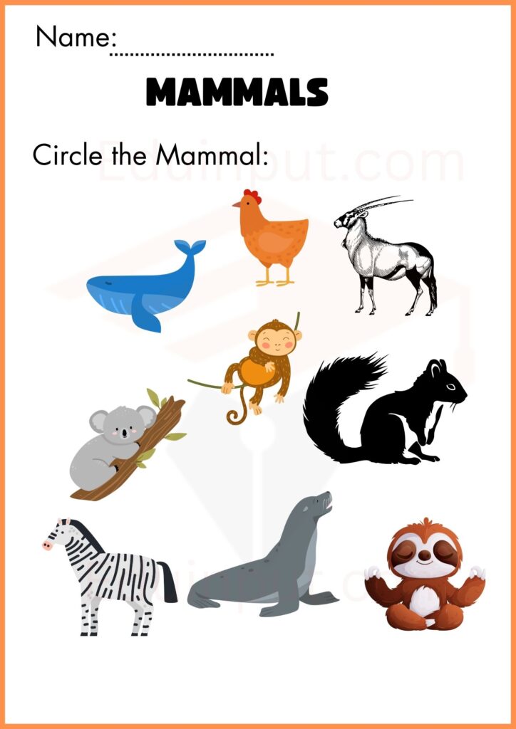 Circle the mammals worksheet for kindergarten