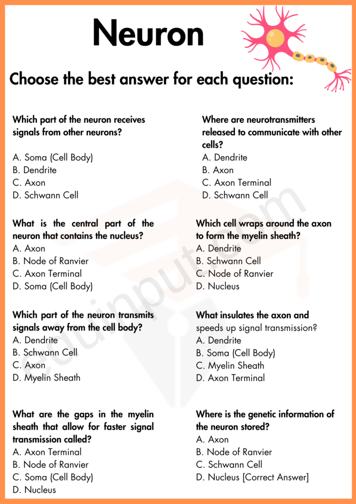 Multiple Choice Question Worksheet of Neuron