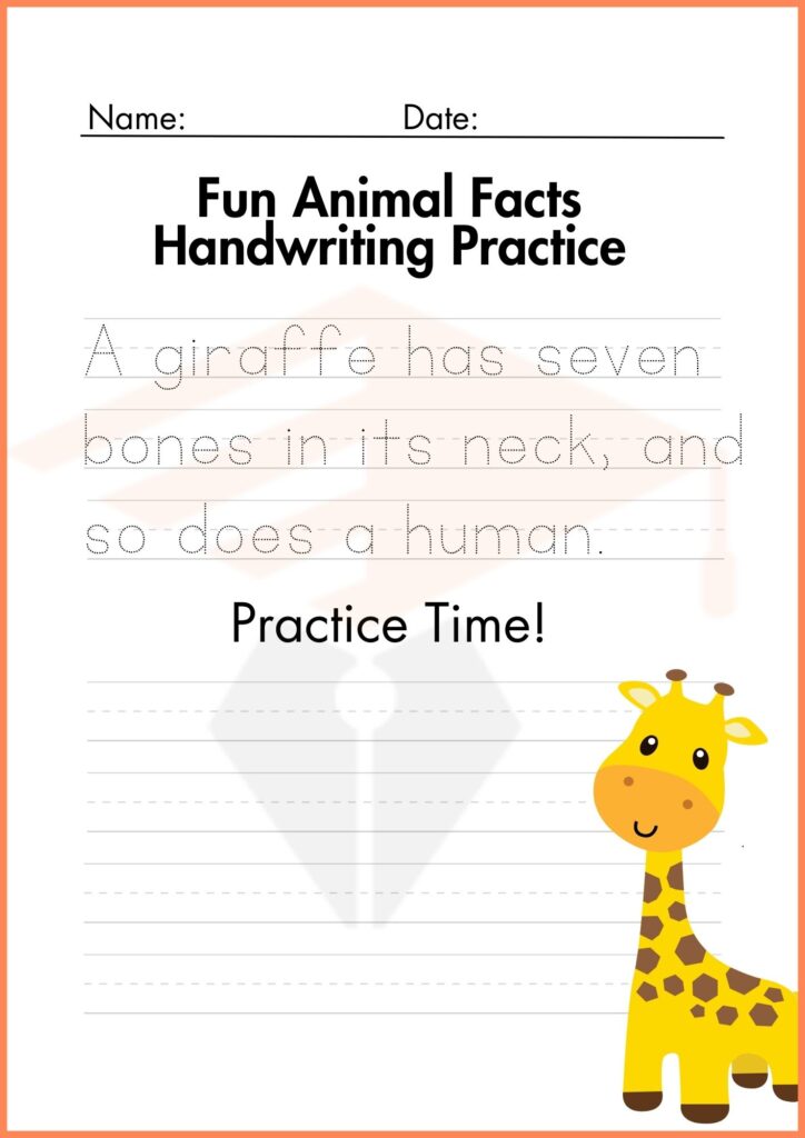 fun animal fact fun worksheets 4