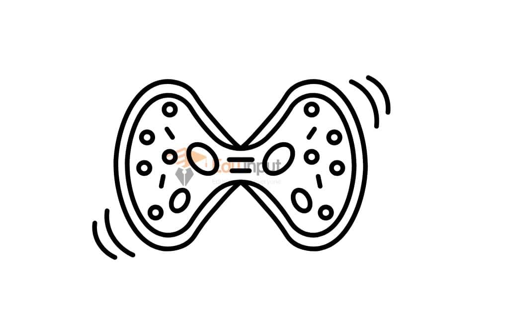 image showing process of cytokinesis during meiosis and mitosis