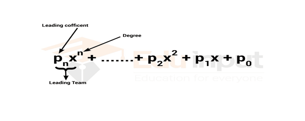 image showing the leading coefficient