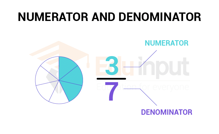 MATH 16 NUMERATOR and DENOMINATOR 2