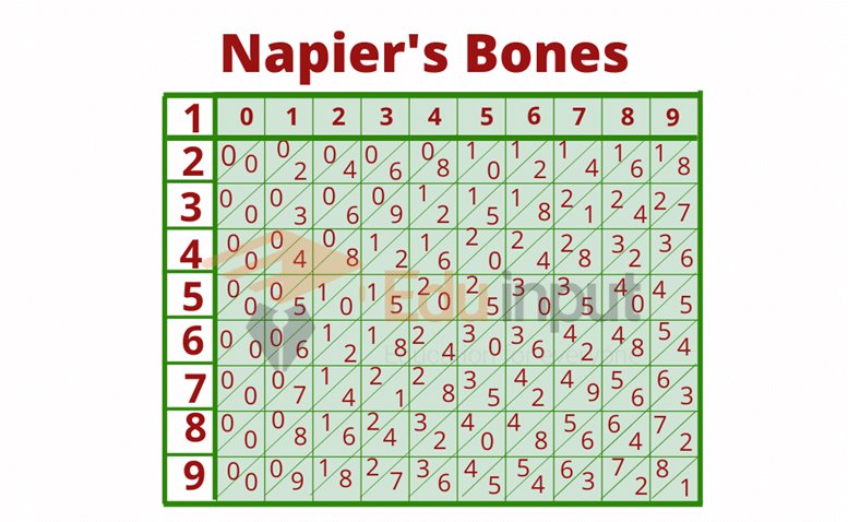 image showing the Napier Bones