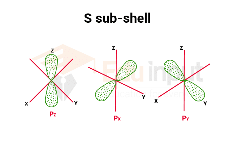 image showing Representation of the three p orbitals.