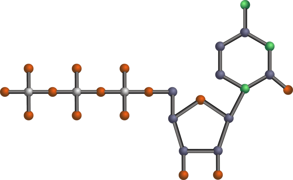 image showing structure of a nucleotide