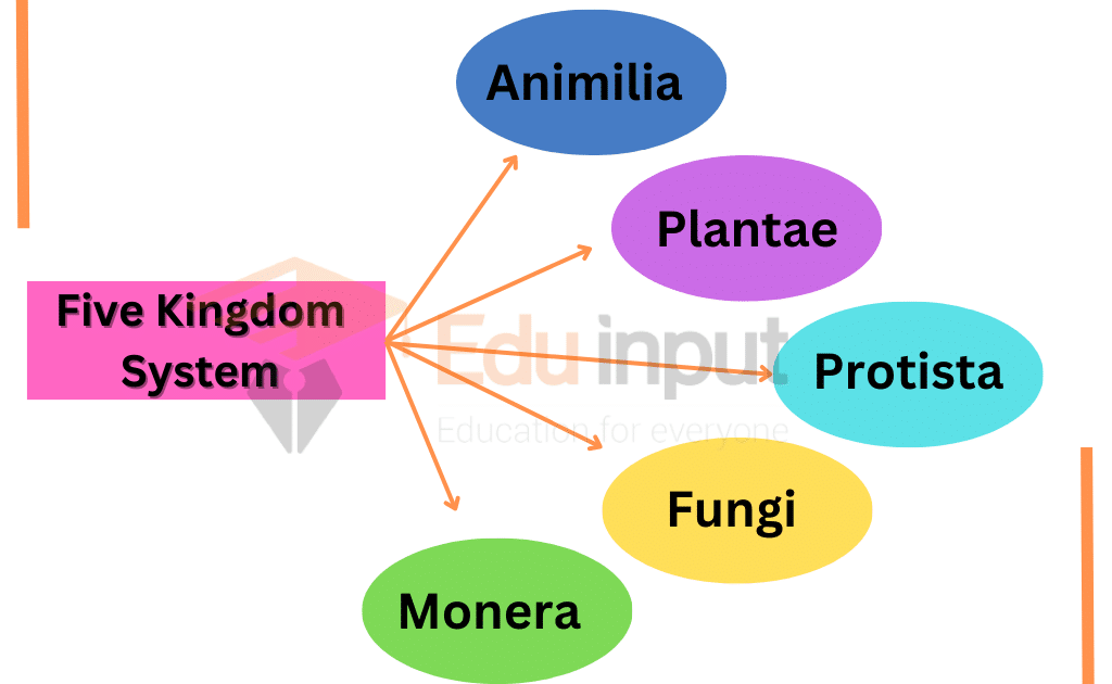 Image showing five kingdom classification system