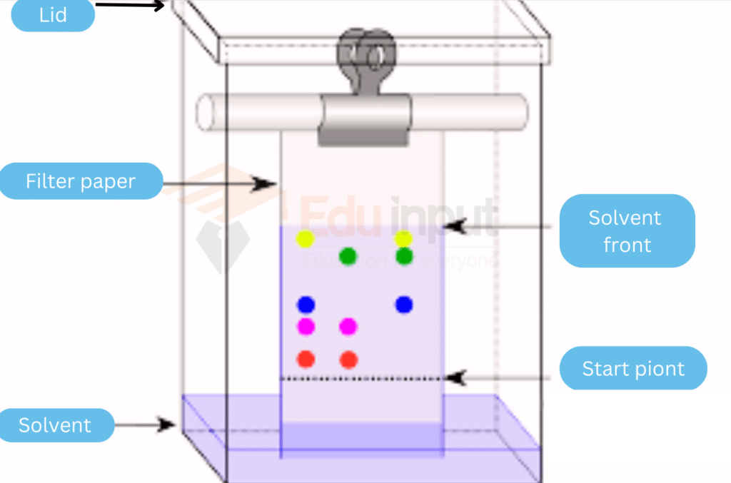 image showing about Chromatography