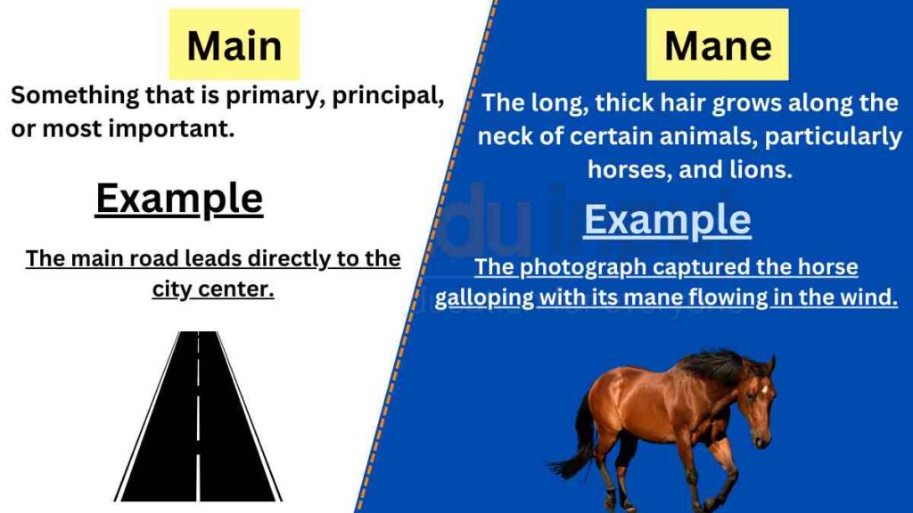 image of main vs mane