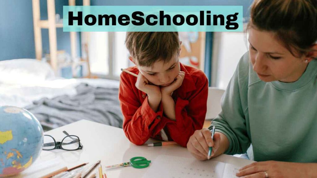 image showing the homeschooling system