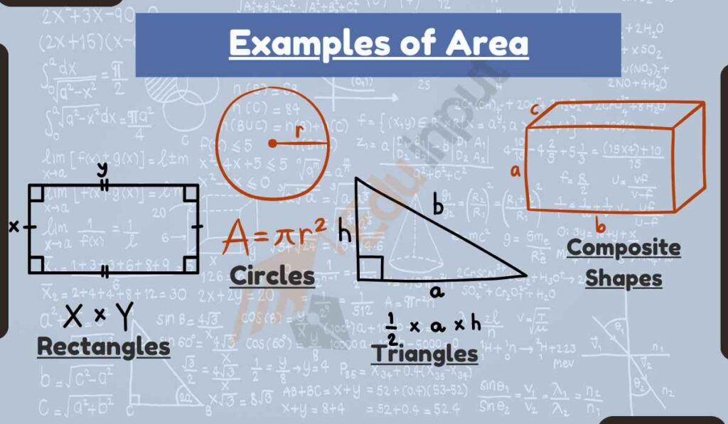 image showing the examples of area
