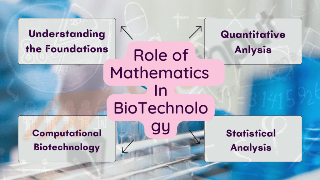 Image showing the role of mathematics in biotechnology