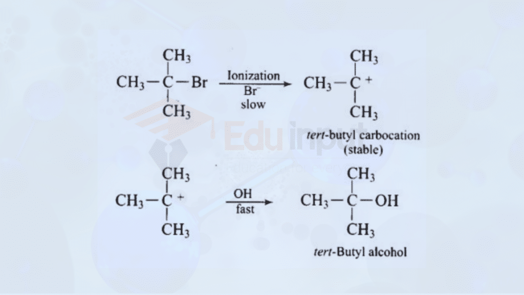 image showing hydrolysis of tertiary alkyl halides