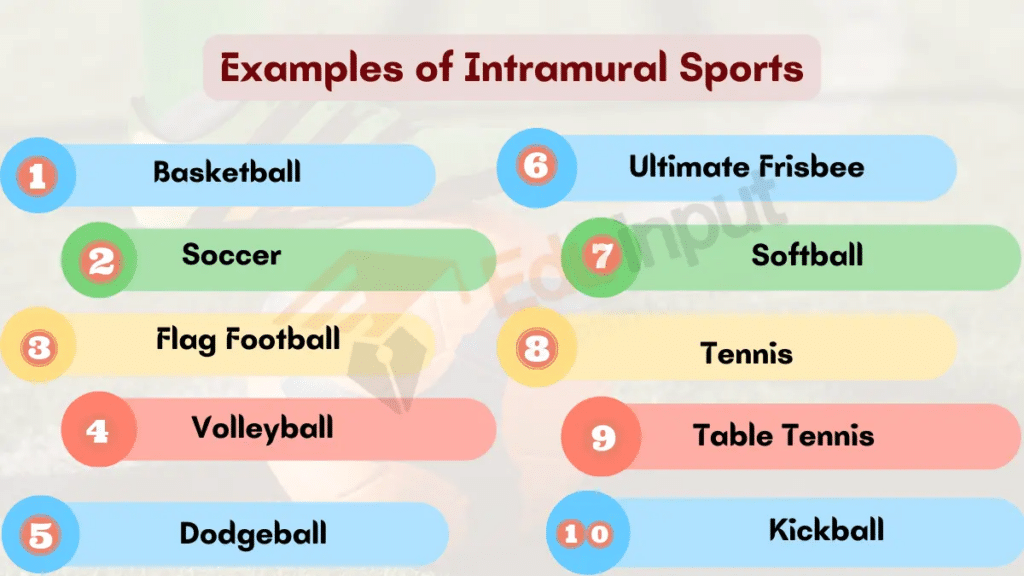 Image showing Examples of Intramural Sports