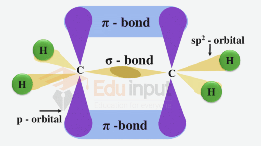 sp2 hybridization diagram of ethene