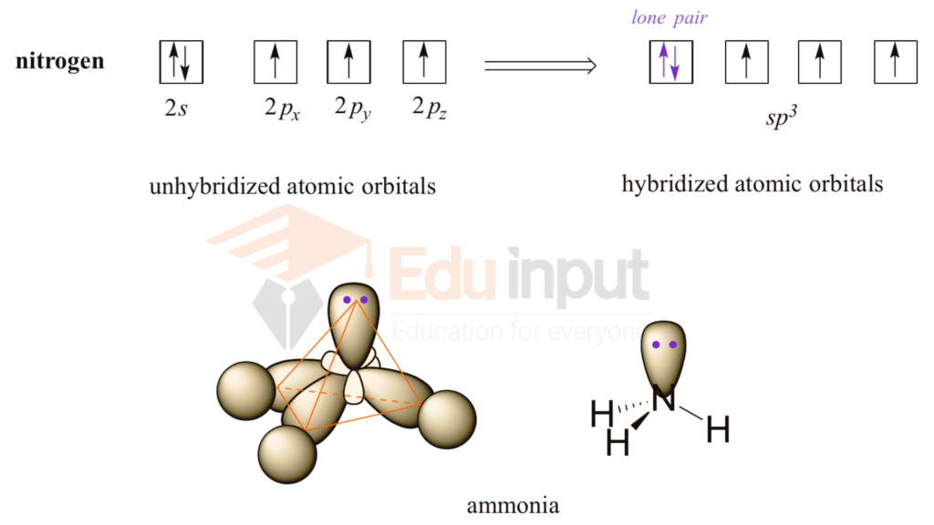 sp3 hybridization structure of ammonia 1