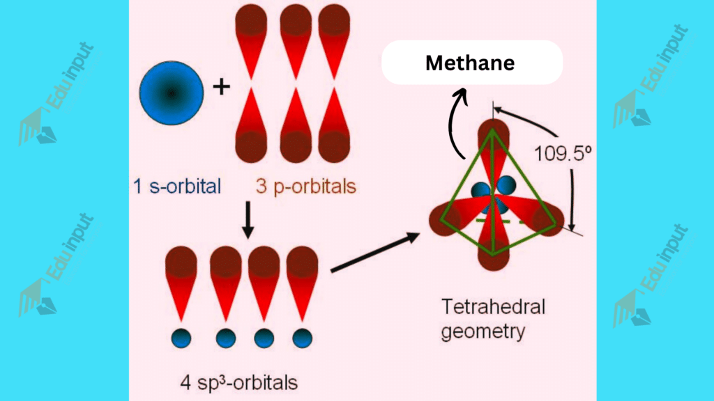 sp3 hybridization structure of methane