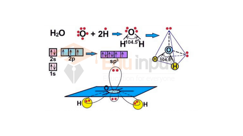 sp3 hybridization structure of water