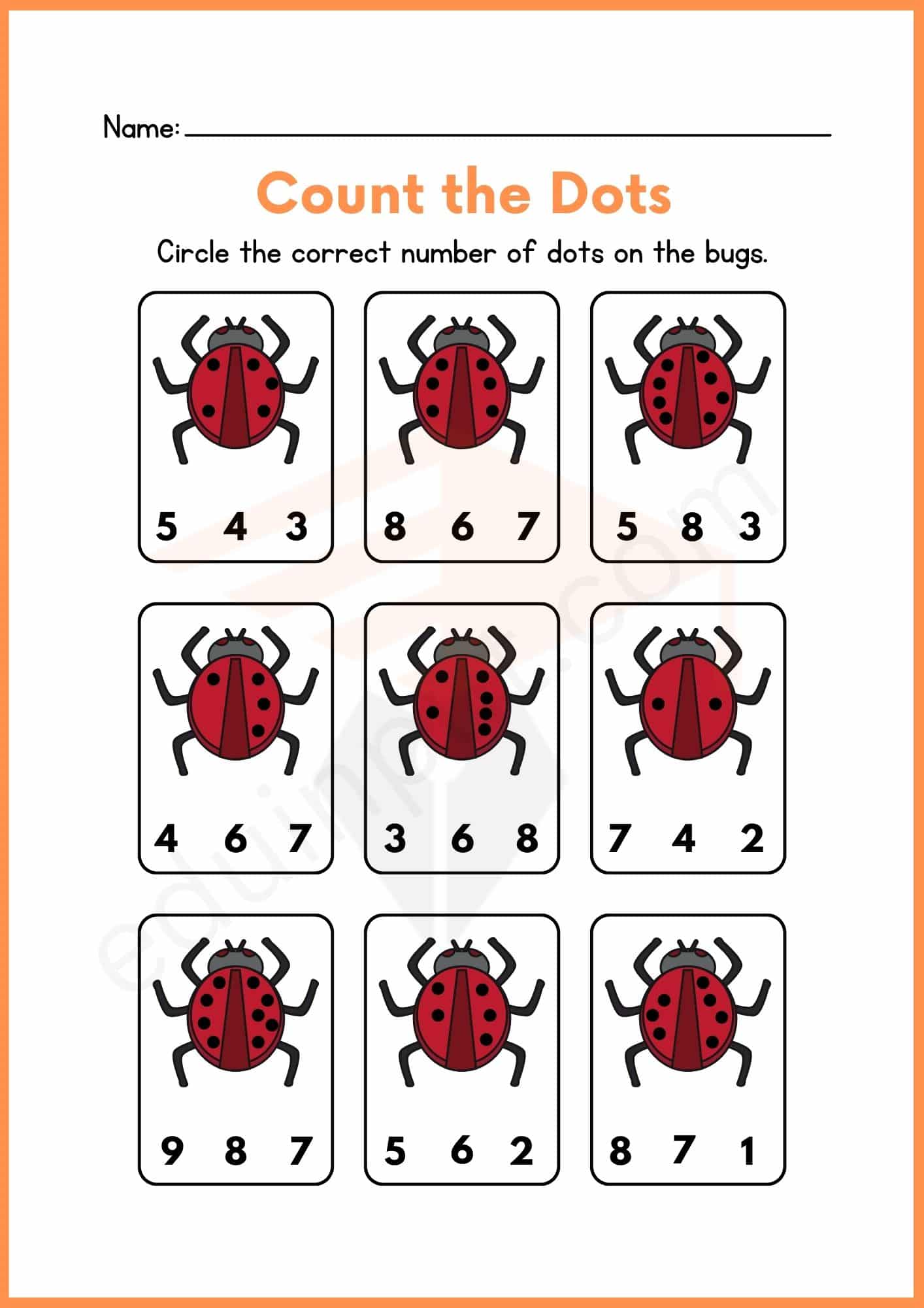 Insects Activity Worksheets for Kindergarten