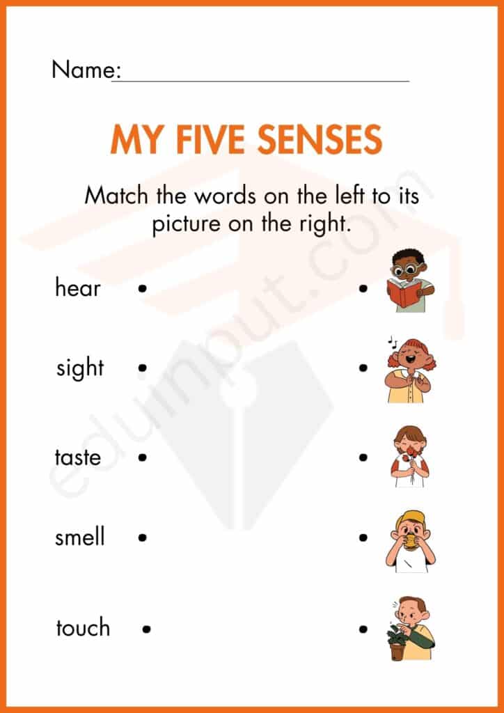 Matching worksheet of five senses for kindergarten