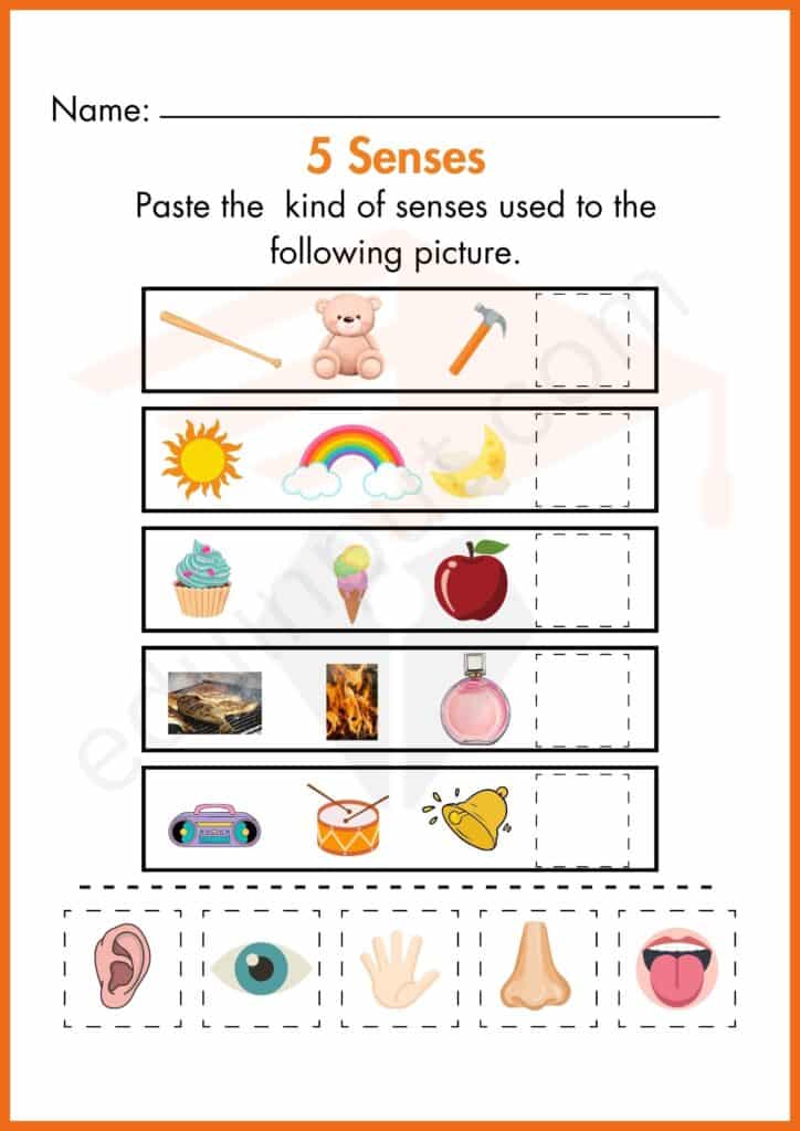 Paste the right picture worksheet for kindergarten